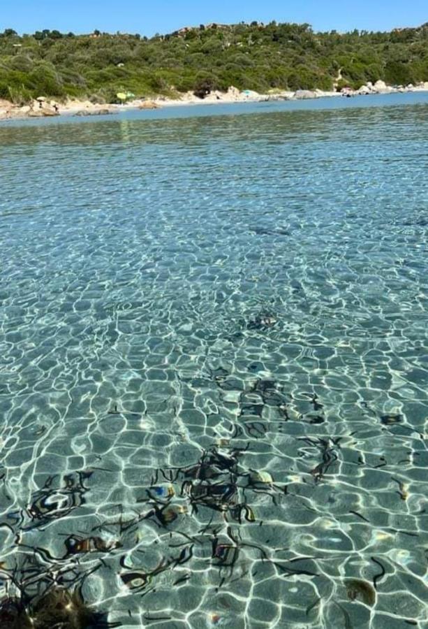 Suite Antonio Κάλιαρι Εξωτερικό φωτογραφία